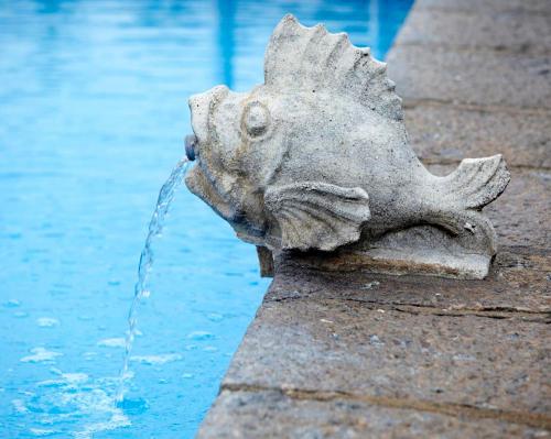 a statue of a fish drinking water from a fountain at Balneario Acuña in Caldas de Reis
