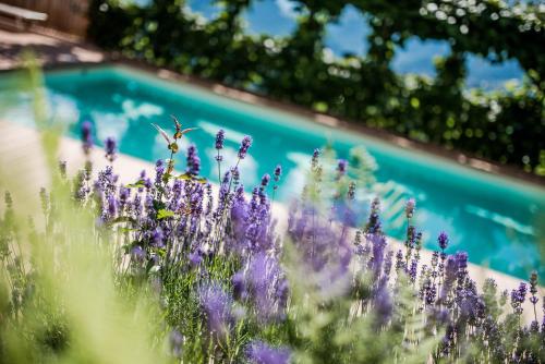 Haus Artus – Photos 5
