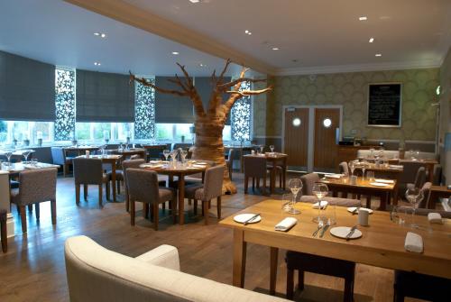 a restaurant with tables and chairs and a tree in the middle at The Green House in Bournemouth