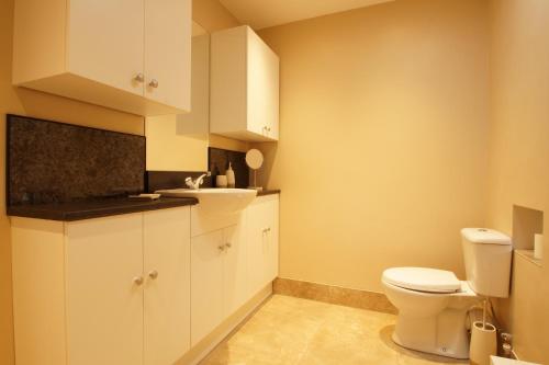 a bathroom with a toilet and a sink at Degwm in Llanwrin
