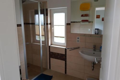 W łazience znajduje się prysznic i umywalka. w obiekcie Ferienwohnung Fiene w mieście Groß Zicker