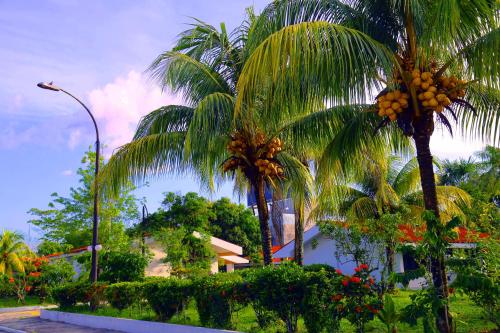a couple of palm trees with fruits hanging from them at Hotel Sol del Oriente Iquitos in Iquitos