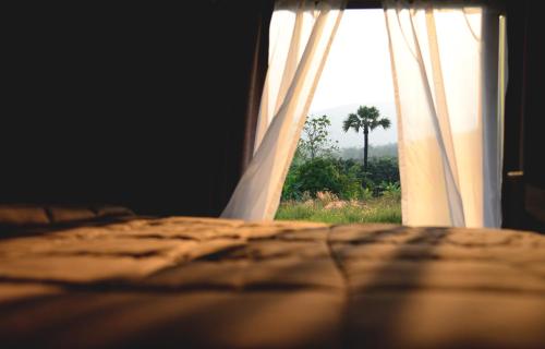 a bed with a window with a view of a palm tree at Suan Sook Homestay in Chom Thong