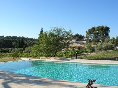 un chien jouet est assis à côté d'une piscine dans l'établissement Le Mazet de la Dame, à Barbentane