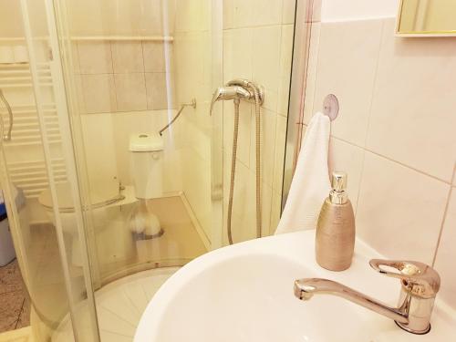 a bathroom with a sink and a shower at La Boheme Apartman in Miskolc