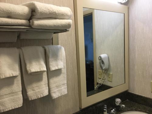Bilik mandi di Landmark Motor Inn