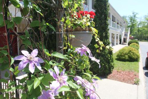 Saga Resort – Photos 3