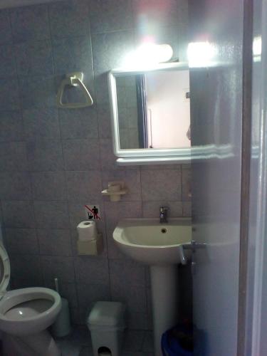 a bathroom with a sink and a toilet and a mirror at Villa Stegiovana in Stavros