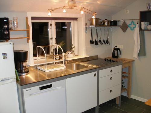 uma cozinha com um lavatório e uma bancada em Ásaskóli em Árnes