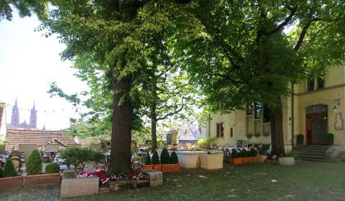 a courtyard with two trees and a building at hotel brasserie au violon in Basel