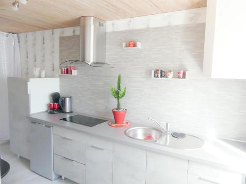 a kitchen with a sink and a cactus on the counter at Studio Manon in Portieux