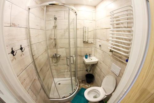 a bathroom with a shower and a toilet and a sink at Na Krzywej in Chęciny