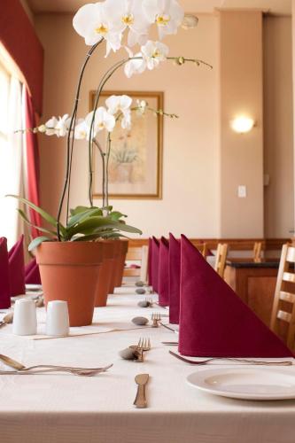 a long table with purple napkins and flowers on it at Apollo Hotel in Johannesburg