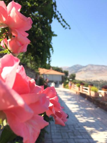 Saranda Landscape