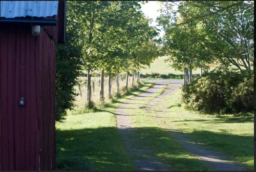ブラーサルプにあるNORREGÅRD Farm Guest Houseの赤い納屋並木道