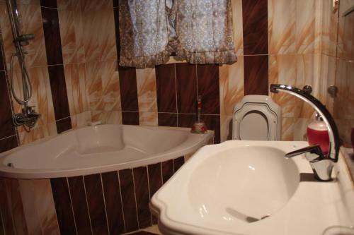 e bagno con servizi igienici, vasca e lavandino. di Maged Pyramids View Inn a Il Cairo