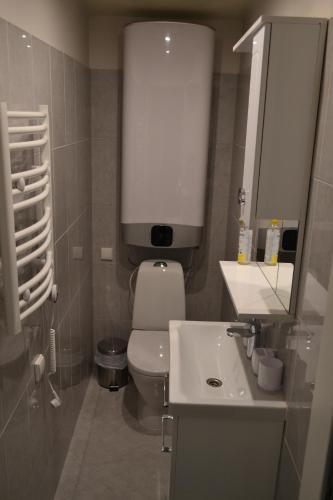 Kupatilo u objektu Živelina