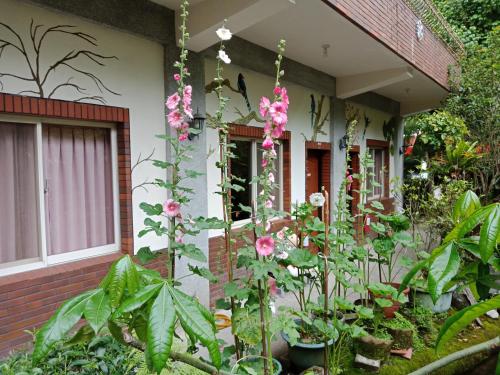 a house with a bunch of flowers in front of it at Yi Jia Yuan Homestay in Nanzhuang