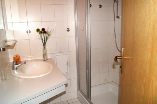 ein Bad mit einem Waschbecken und einer Dusche in der Unterkunft Maisionette Wohnung im Hafenmeisterhaus Lauterbach in Lauterbach