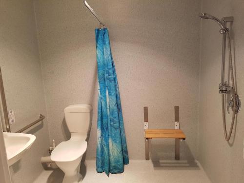 a bathroom with a toilet and a blue shower curtain at Punakaiki Rocks Hotel & Garden Bar in Punakaiki