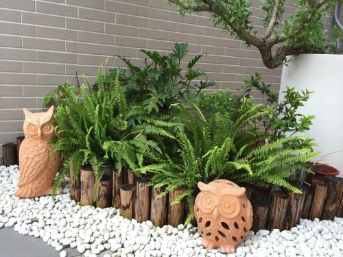 a bunch of plants sitting on top of a wooden fence at Summerle No.11 in Chaozhou