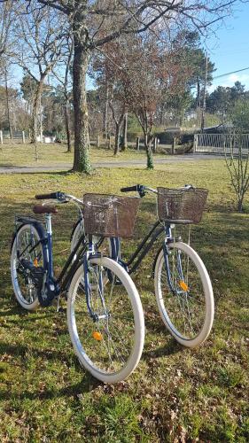 Anar amb bici a La Grange du Born o pels voltants