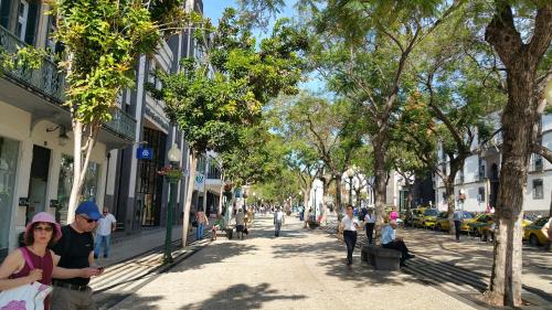 a group of people walking down a street with trees at Edificio Charles 103 in Funchal