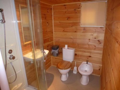 a small bathroom with a toilet and a shower at Restaurace Vráž in Trhové Sviny
