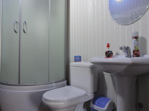 a bathroom with a toilet, sink, and shower at Inn Kochevnik in Cholpon-Ata