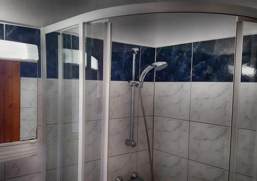 a shower in a bathroom with blue and white tiles at Panorama Apartment in Tihany