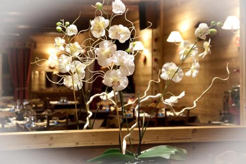 Gallery image of Hôtel - Restaurant - Bar - Le Sapin Fleuri in Bourg dʼOueil