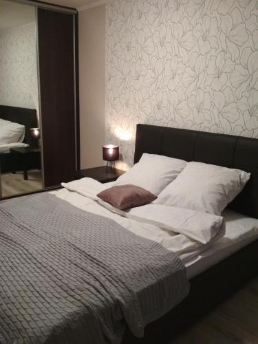 カリーニングラードにあるДвухкомнатная в Центреの大型ベッド(白いシーツ、枕付)が備わるベッドルームです。