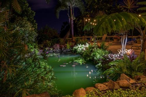 Zahrada ubytování El Yunque Rainforest Inn