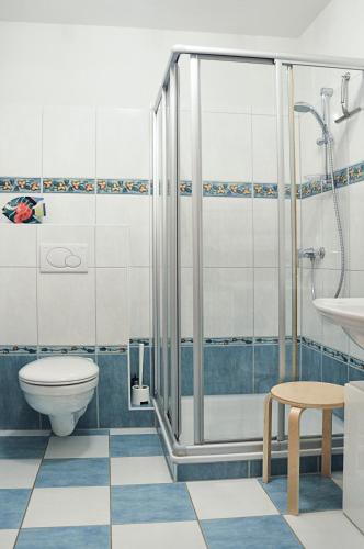 a bathroom with a shower and a toilet and a sink at Villa Böck am Strand FeWo 8 in Glowe