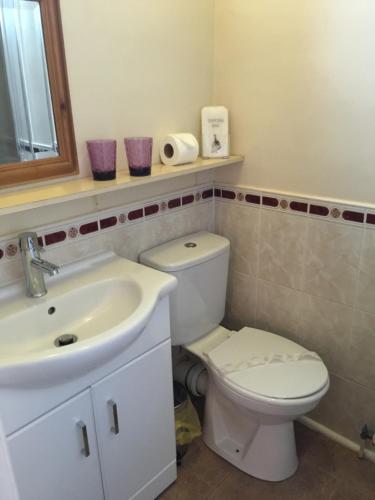 a bathroom with a white toilet and a sink at Clayhanger Guest House in Newcastle under Lyme