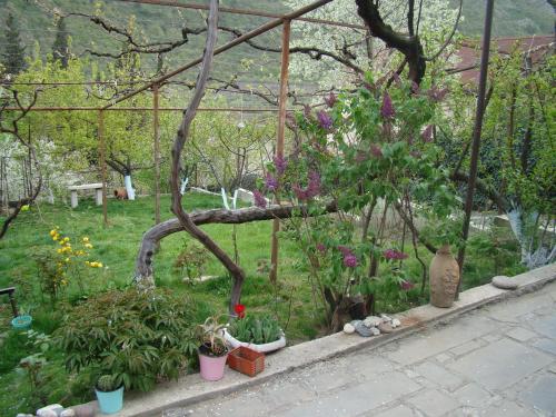 Jardín al aire libre en Guest House Ucha