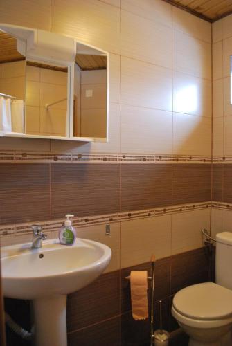 a bathroom with a sink and a toilet at Pensiunea Alexandra in Vatra Moldoviţei