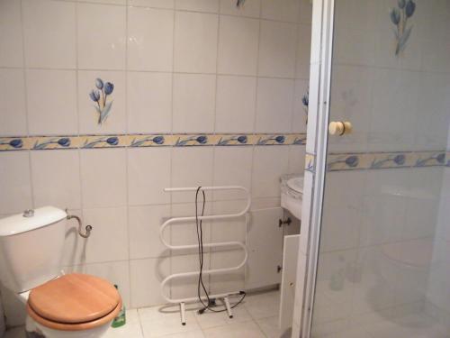 een badkamer met een toilet en een douche bij La piscine in Fitou