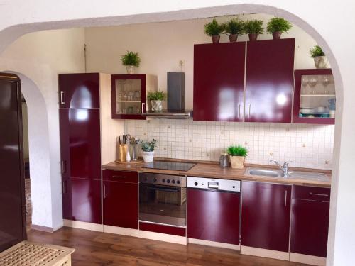 a kitchen with purple cabinets and a sink at Villa Christina in Kamp-Bornhofen