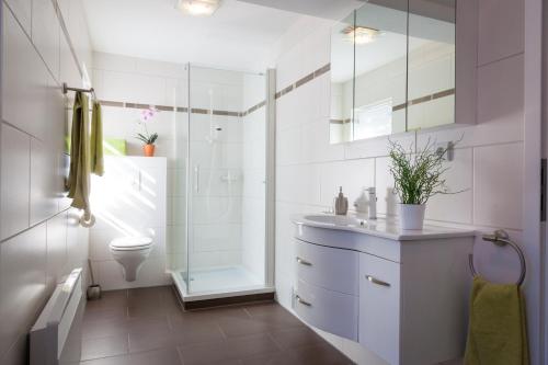 W łazience znajduje się prysznic, umywalka i toaleta. w obiekcie Ferienhaus Gregor w mieście Birkenwerder