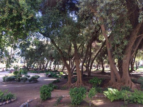 a park with a bunch of trees and bushes at Bahía Pelícanos in Ventanas