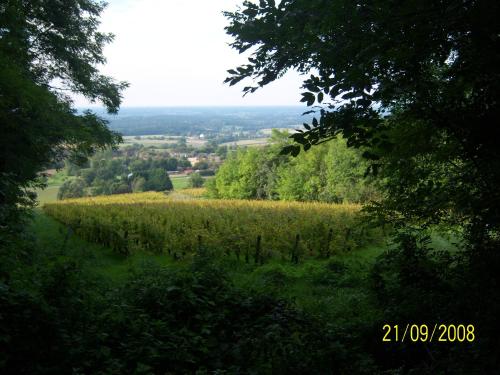 a field of corn on a hill with trees at 2 chambres d'hôtes privées louées séparément avec communs à partager in Beaufort