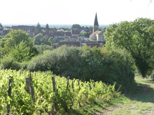 a field of vines with a village in the background at 2 chambres d'hôtes privées louées séparément avec communs à partager in Beaufort