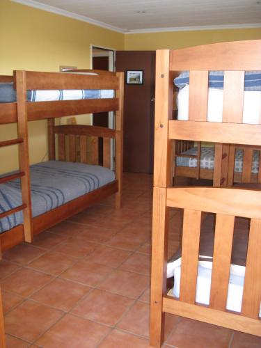 Imagen de la galería de The Bug Backpackers, en Nelson
