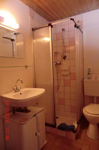 une salle de bain avec un lavabo, une douche et des toilettes dans l'établissement Les passereaux, à Saint-Nicolas-de-Véroce