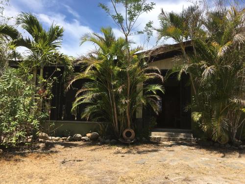 Curubandé的住宿－Tiquisia Lodge，前面有棕榈树的房子