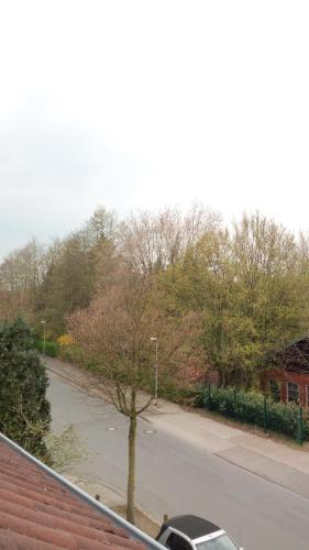 a car parked on a street next to a tree at Ferienwohnung mit Loggia in Münster