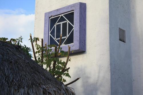 a window on the side of a building with a plant at Amaranto Bed and Breakfast in Cozumel