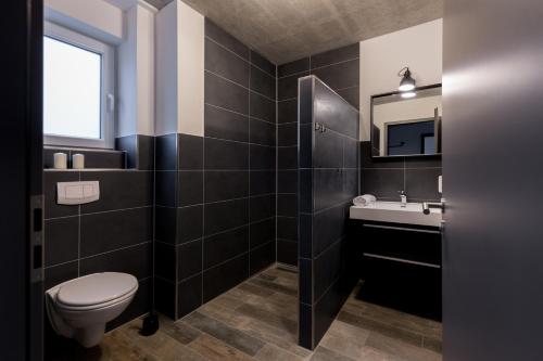 a bathroom with a toilet and a sink and a mirror at Bauernhof Köhlbrandt in Todendorf auf Fehmarn