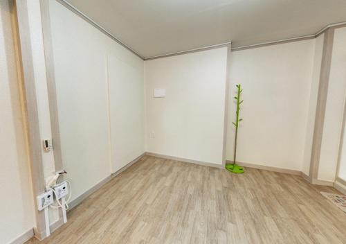 ein leeres Zimmer mit einer Topfpflanze in der Ecke in der Unterkunft Tobang Red Clay Pension in Pohang